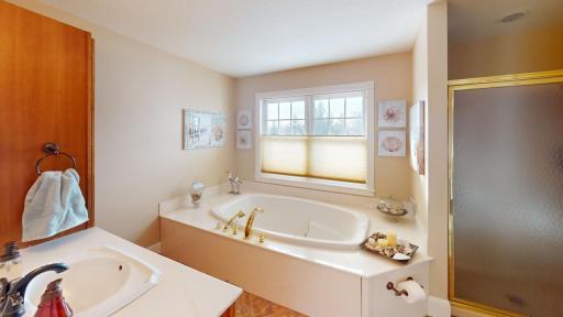 22702 Hamburg Avenue, Lakeville, MN 55044