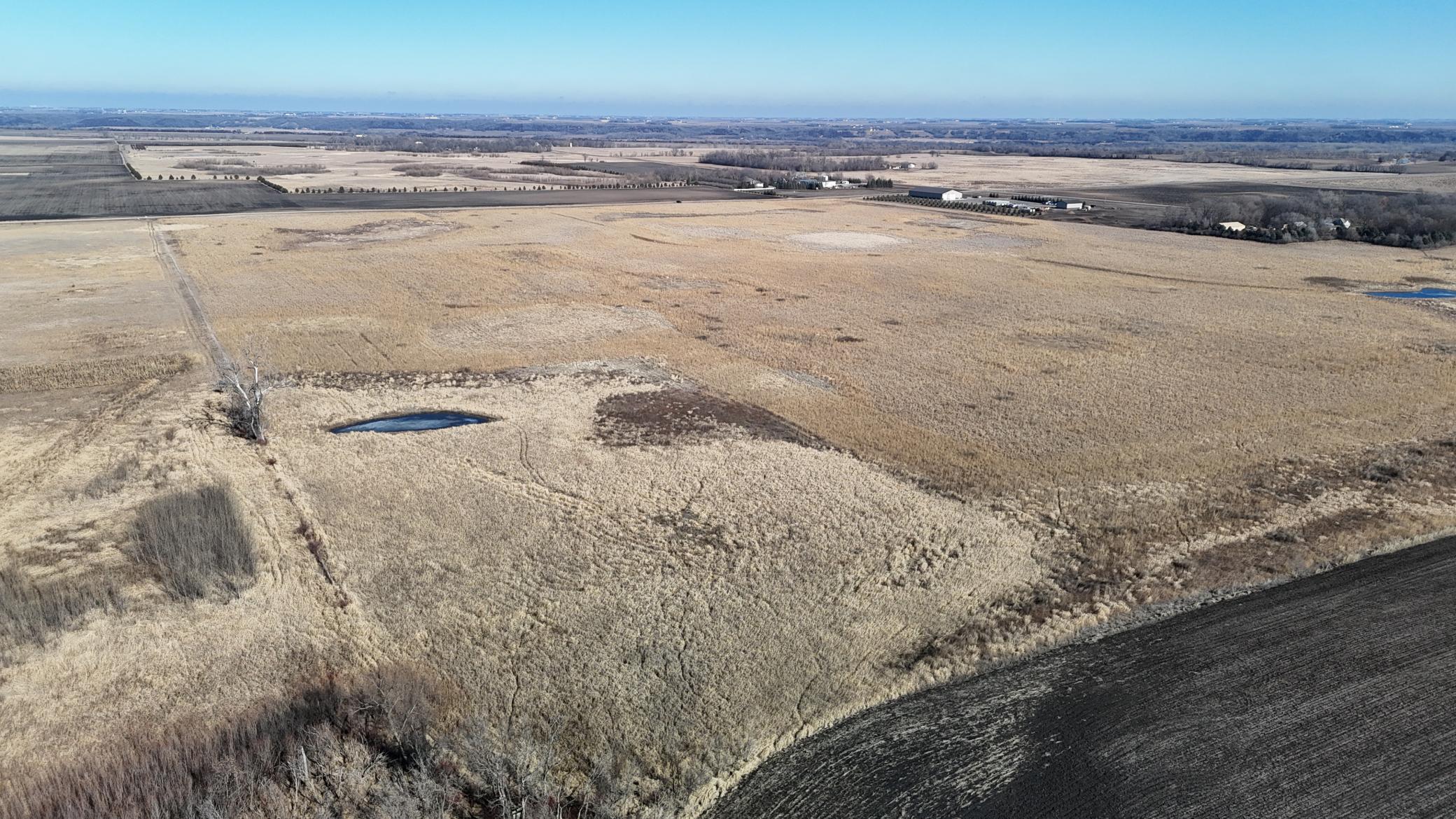 DJI_20240212115157_0114_D.JPG