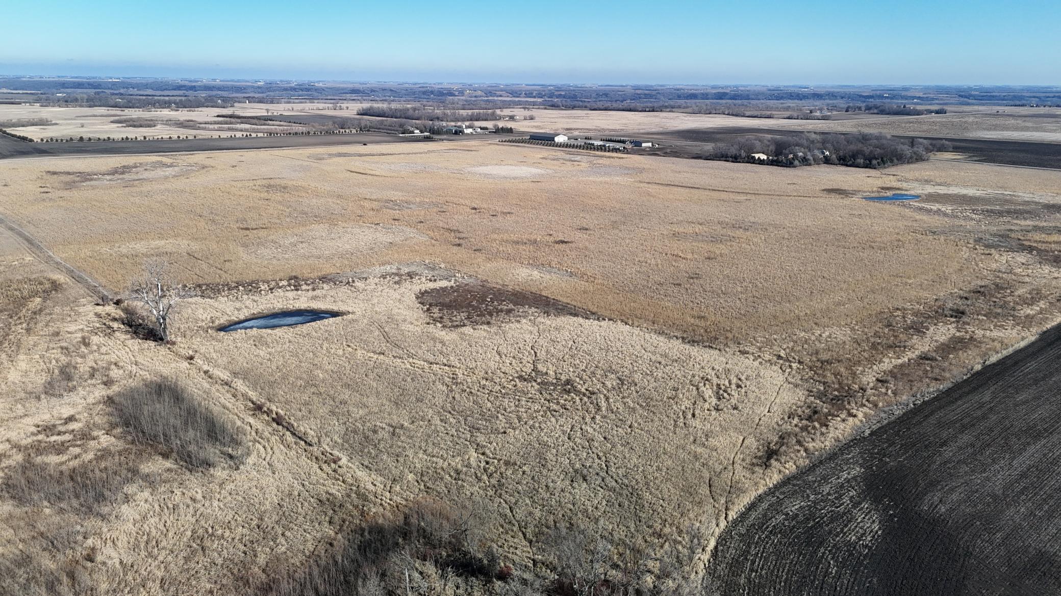 DJI_20240212115146_0113_D.JPG