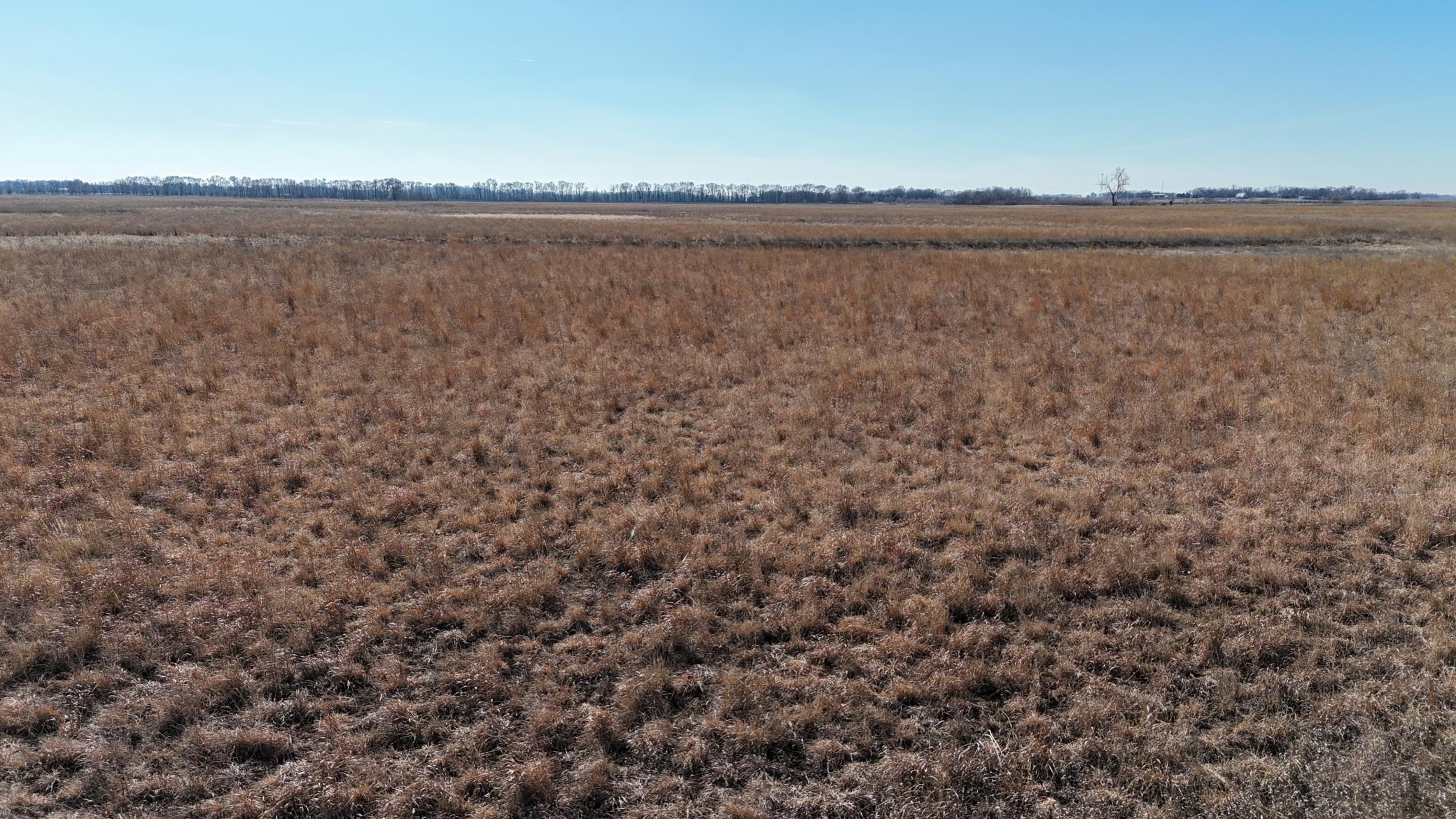 DJI_20240212115914_0125_D.JPG