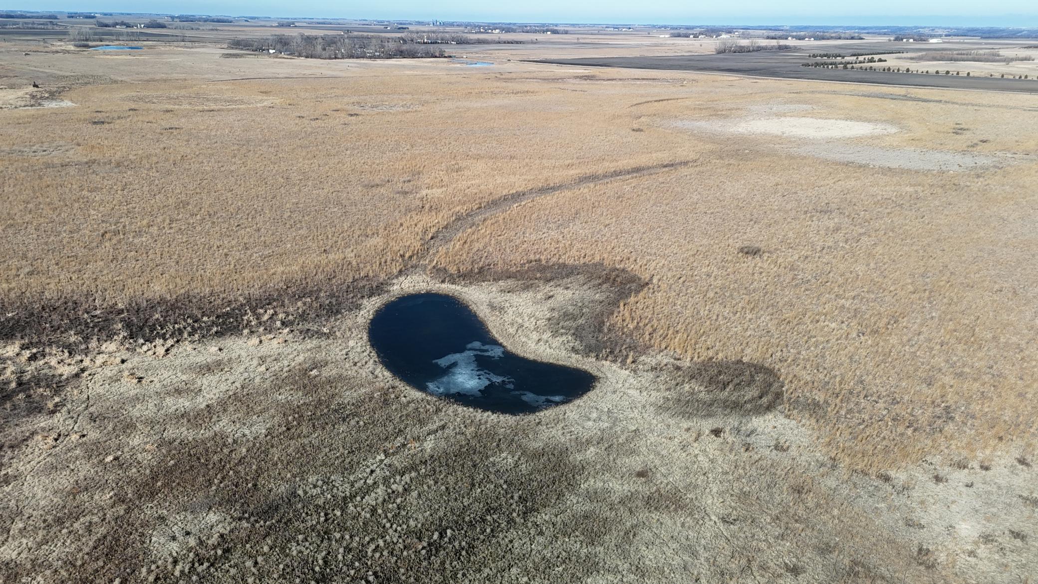 DJI_20240212115352_0117_D.JPG
