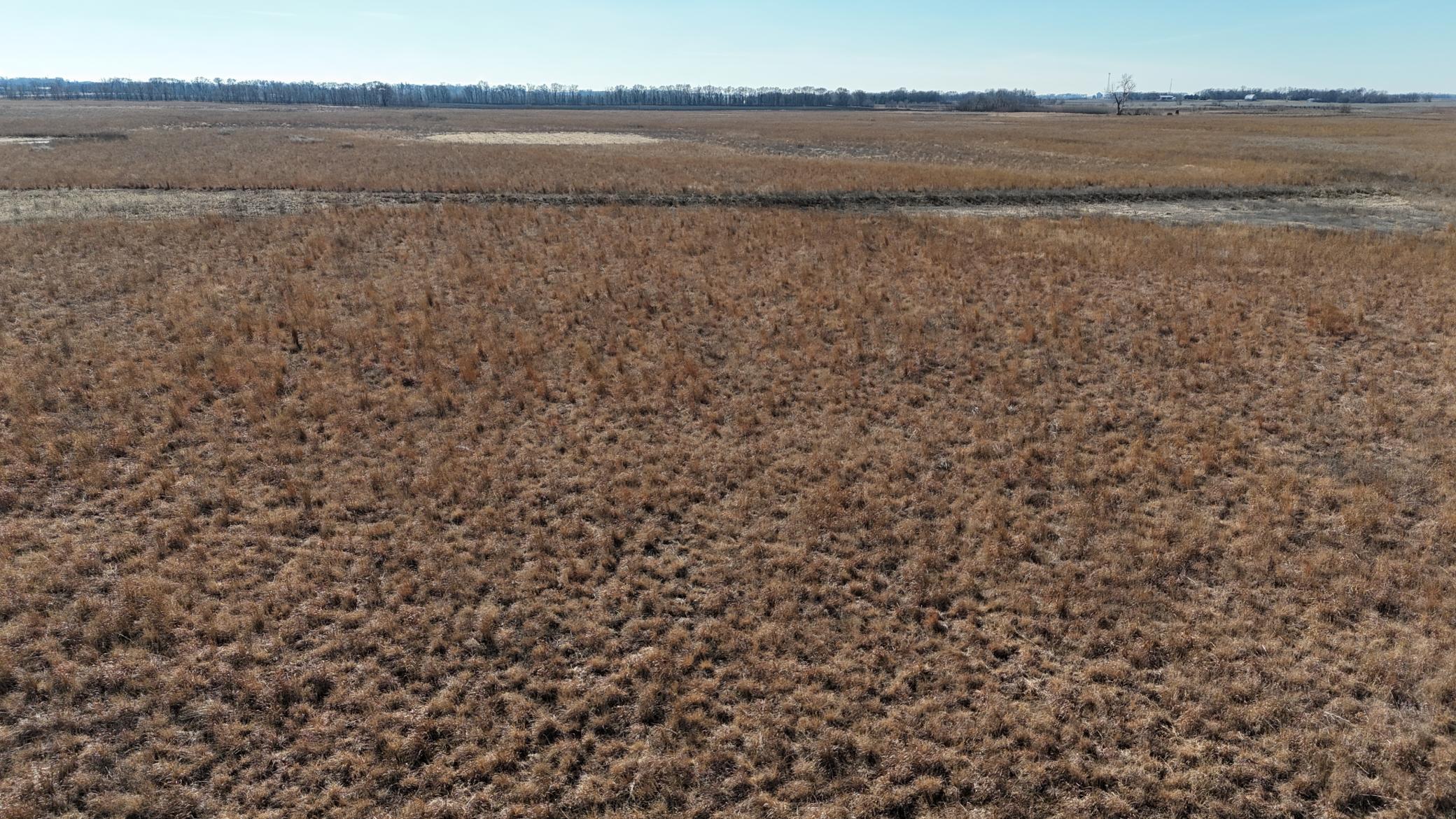 DJI_20240212115919_0126_D.JPG