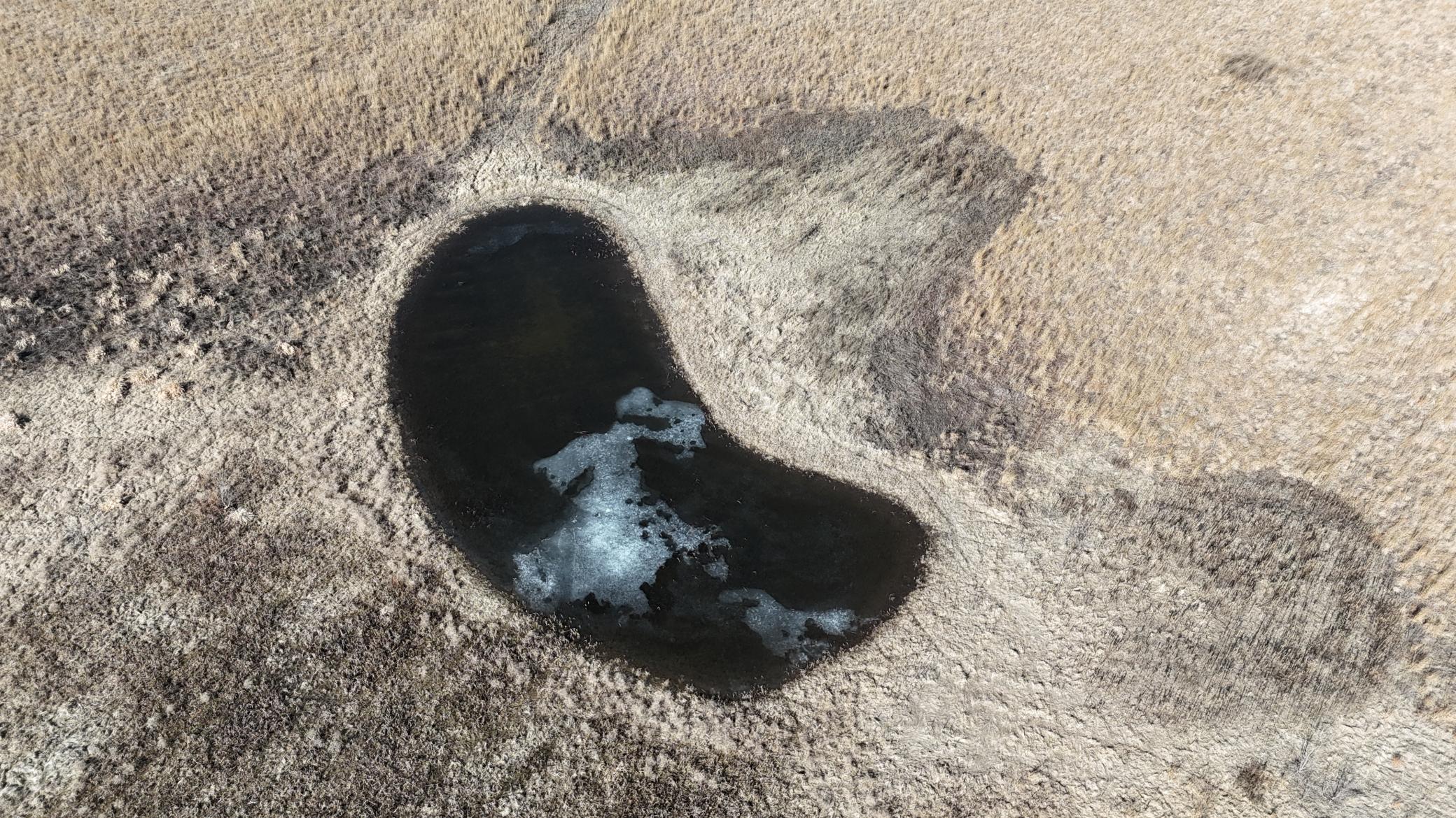 DJI_20240212115344_0116_D.JPG