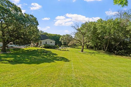 Majestic Oak, Maple & Walnut trees all over the property