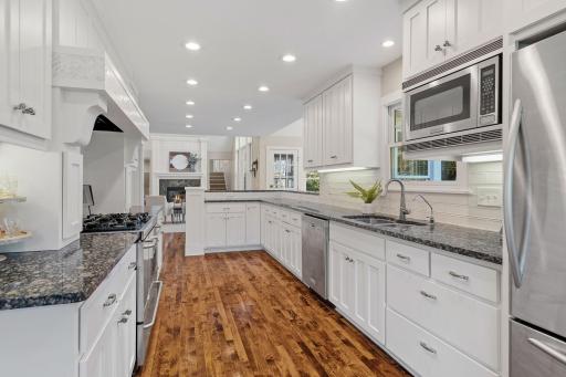 Stainless appliances including a 36" professional gas range, cabinet paneled hood, dishwasher and refrigerator