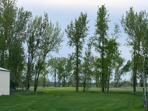 Photo for 10166 160th Street NE, Thief River Falls, MN 56701 - Listing #6491743 10166 160th Street NE, Thief River Falls, MN 56701