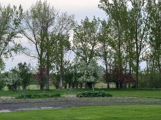 Photo for 10166 160th Street NE, Thief River Falls, MN 56701 - Listing #6491743 10166 160th Street NE, Thief River Falls, MN 56701