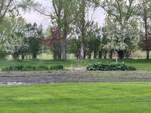 Photo for 10166 160th Street NE, Thief River Falls, MN 56701 - Listing #6491743 10166 160th Street NE, Thief River Falls, MN 56701
