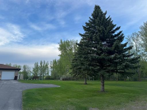 Photo for 10166 160th Street NE, Thief River Falls, MN 56701 - Listing #6491743 10166 160th Street NE, Thief River Falls, MN 56701