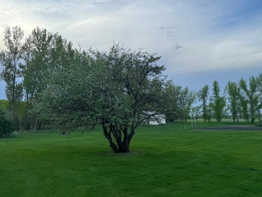 Photo for 10166 160th Street NE, Thief River Falls, MN 56701 - Listing #6491743 10166 160th Street NE, Thief River Falls, MN 56701