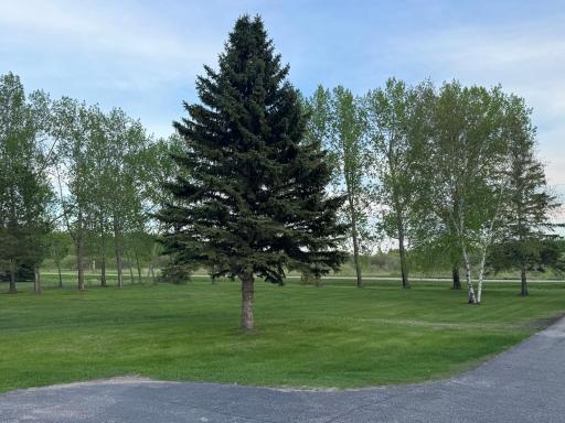 Photo for 10166 160th Street NE, Thief River Falls, MN 56701 - Listing #6491743 10166 160th Street NE, Thief River Falls, MN 56701