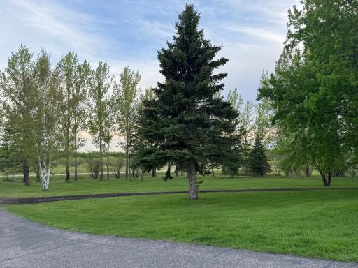 Photo for 10166 160th Street NE, Thief River Falls, MN 56701 - Listing #6491743 10166 160th Street NE, Thief River Falls, MN 56701