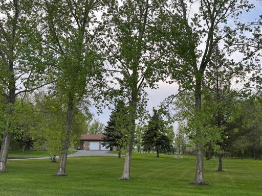 Photo for 10166 160th Street NE, Thief River Falls, MN 56701 - Listing #6491743 10166 160th Street NE, Thief River Falls, MN 56701