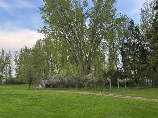Photo for 10166 160th Street NE, Thief River Falls, MN 56701 - Listing #6491743 10166 160th Street NE, Thief River Falls, MN 56701