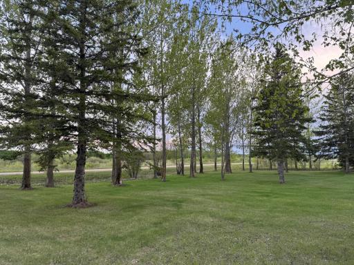 Photo for 10166 160th Street NE, Thief River Falls, MN 56701 - Listing #6491743 10166 160th Street NE, Thief River Falls, MN 56701