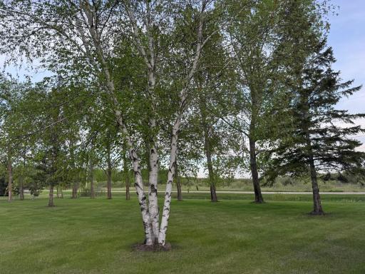 Photo for 10166 160th Street NE, Thief River Falls, MN 56701 - Listing #6491743 10166 160th Street NE, Thief River Falls, MN 56701