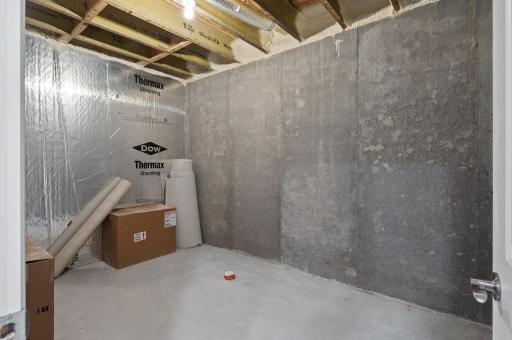 Lower level storage room behind workout space