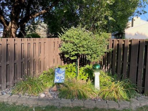 Summer back landscaping.jpg