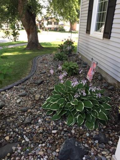 Summer landscaping front.jpg