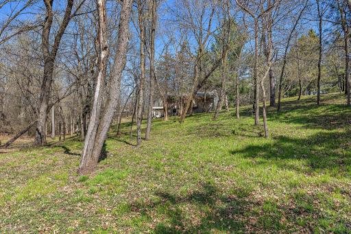 Private space, country acreage, peaceful neighborhood