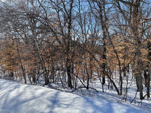 XXXX Overland Drive, Browerville, MN 56438