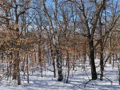 XXXX Overland Drive, Browerville, MN 56438
