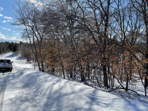 XXXX Overland Drive, Browerville, MN 56438
