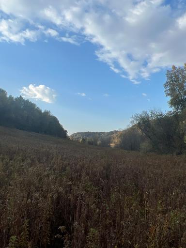 3239 Winding Creek Road, La Crescent, MN 55947