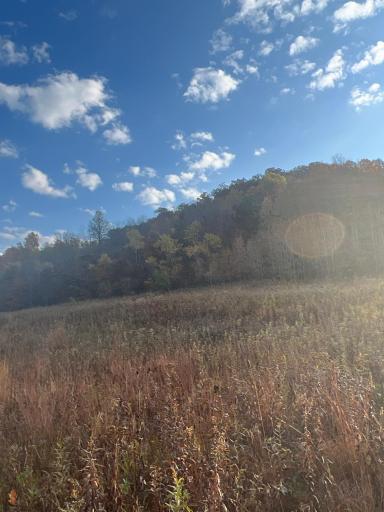3239 Winding Creek Road, La Crescent, MN 55947