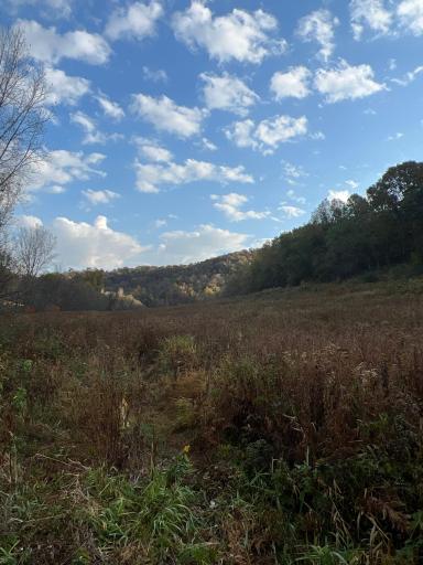 3239 Winding Creek Road, La Crescent, MN 55947