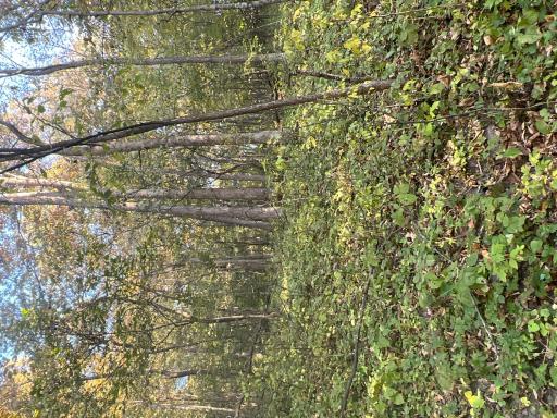 3239 Winding Creek Road, La Crescent, MN 55947