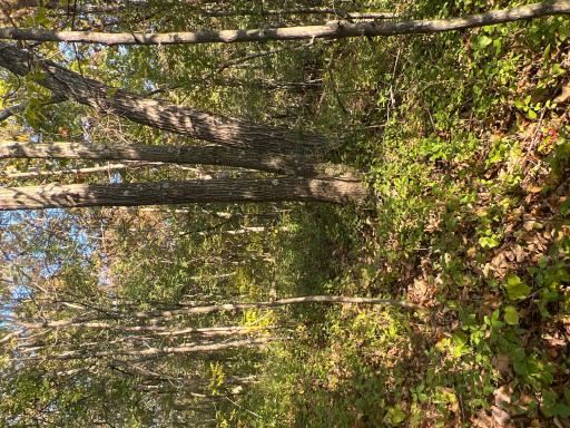 3239 Winding Creek Road, La Crescent, MN 55947