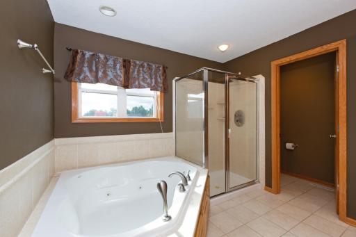 Primary bathroom jetted tub and separate shower.