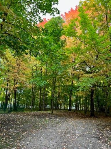 38155 Dead Lake Road, Richville, MN 56576