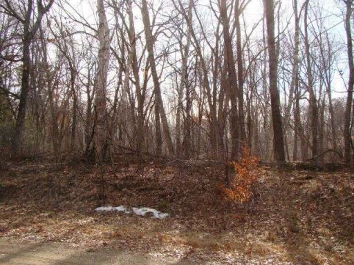 Photo for TBD Overlook Ridge Road, Emily, MN 56447 - Listing #6497744 TBD Overlook Ridge Road, Emily, MN 56447