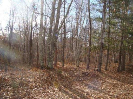Photo for TBD Overlook Ridge Road, Emily, MN 56447 - Listing #6497744 TBD Overlook Ridge Road, Emily, MN 56447