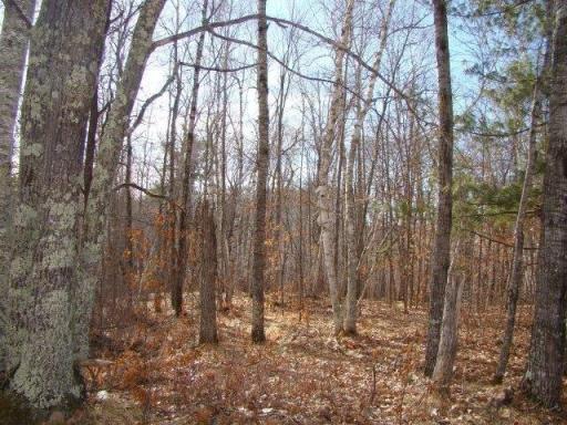 Photo for TBD Overlook Ridge Road, Emily, MN 56447 - Listing #6497744 TBD Overlook Ridge Road, Emily, MN 56447
