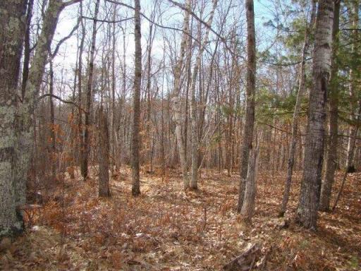 Photo for TBD Overlook Ridge Road, Emily, MN 56447 - Listing #6497744 TBD Overlook Ridge Road, Emily, MN 56447