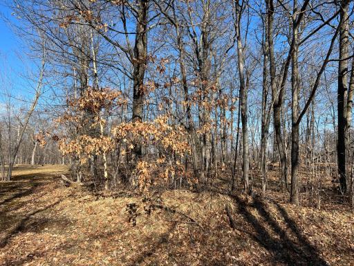Here is a great getaway lot in the Garrison/MilleLacs area, abutting the golf course!