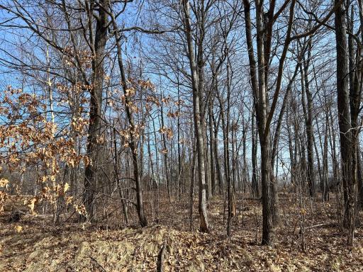 473XX Golf Circle, Garrison, MN 56450