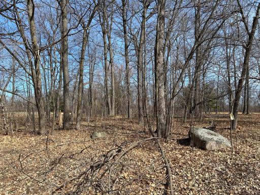 One more shot of the lot with the golf course beyond.