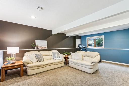 The lower level provides another space for living and relaxation in the light filled family room.