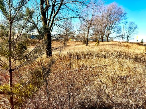 TBD-5.58AC Elk Lake Road NW, Elk River, MN 55330