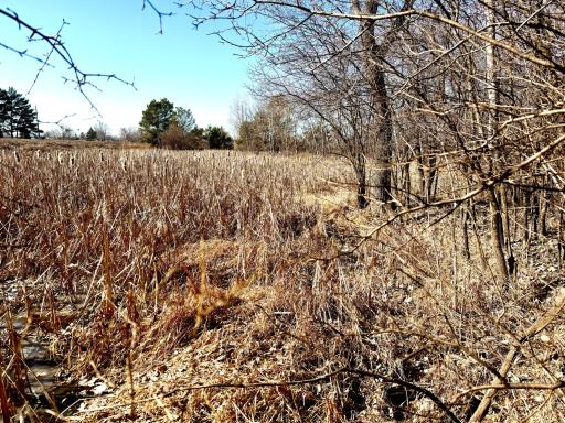 TBD-5.58AC Elk Lake Road NW, Elk River, MN 55330