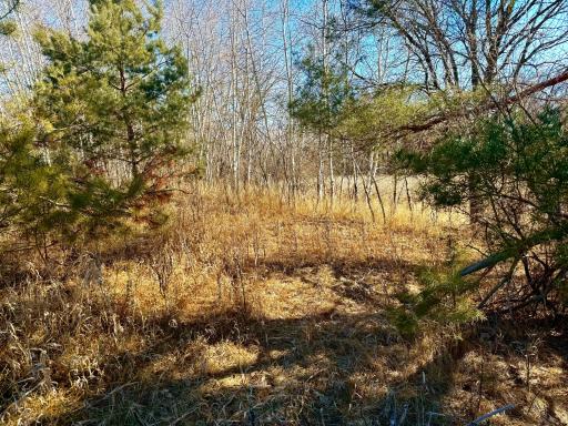 TBD-5.58AC Elk Lake Road NW, Elk River, MN 55330