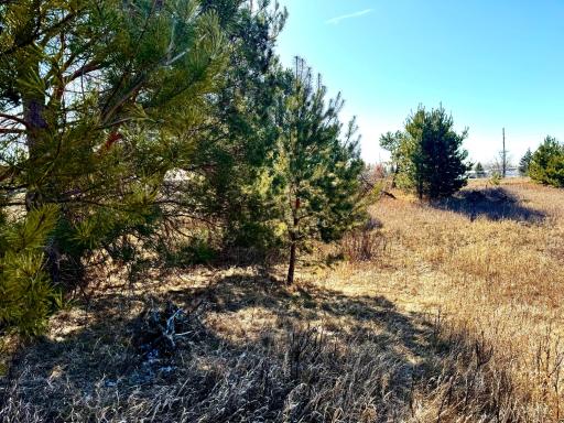TBD-5.58AC Elk Lake Road NW, Elk River, MN 55330