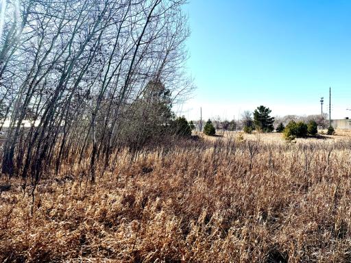 TBD-5.58AC Elk Lake Road NW, Elk River, MN 55330