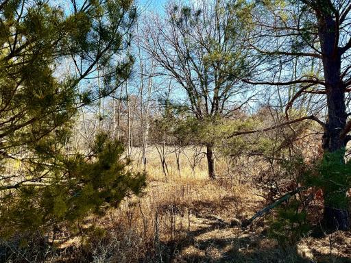 TBD-5.58AC Elk Lake Road NW, Elk River, MN 55330