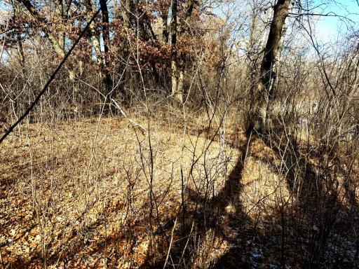 TBD-5.58AC Elk Lake Road NW, Elk River, MN 55330