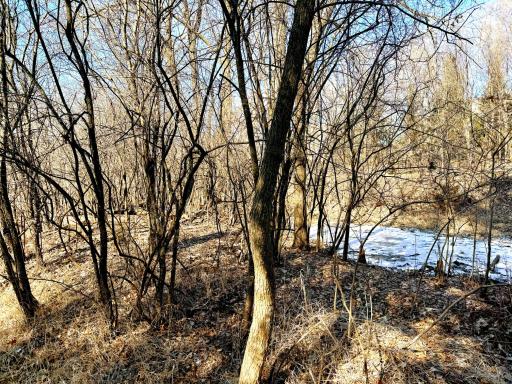 TBD-5.58AC Elk Lake Road NW, Elk River, MN 55330